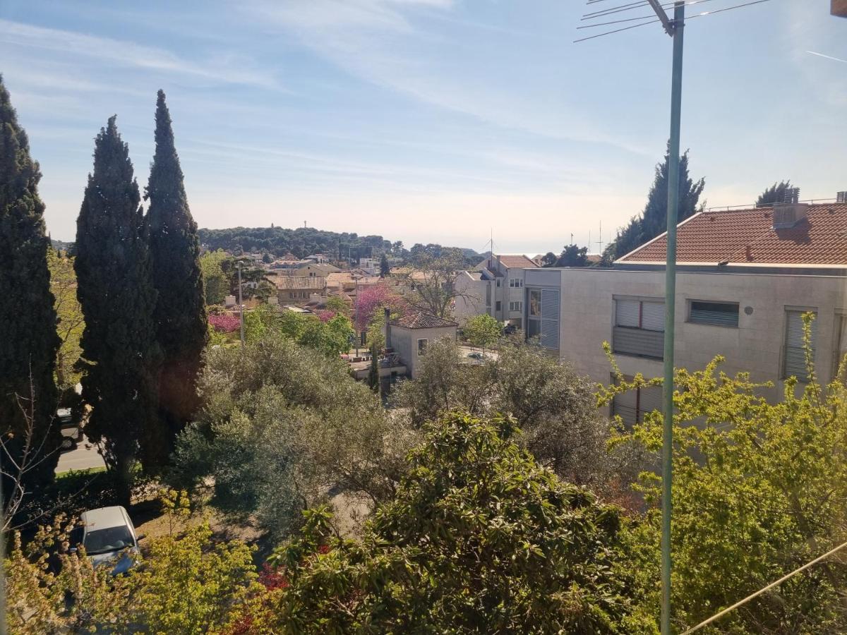 Greenview With Parking Apartment